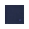 Blaues bedrucktes here comes the sol Halstuch Claude